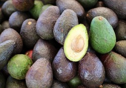 Avocado - Health blog