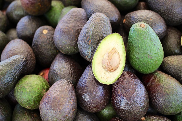 Avocado - Health blog