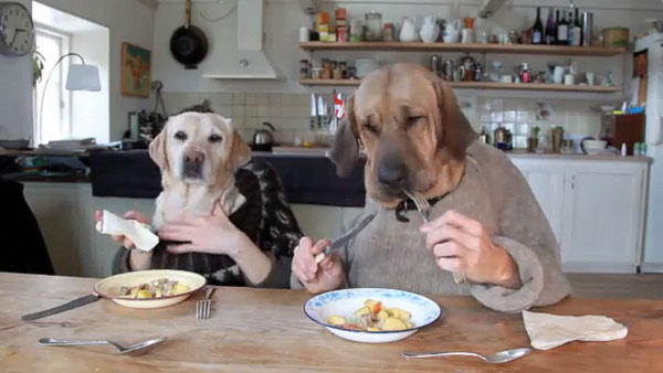 Dogs Eating Like Humans - Health