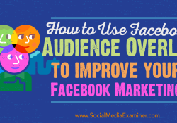 Facebook Audience Overlap